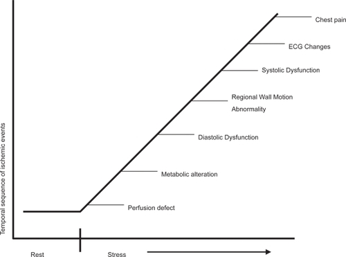 Figure 1 The ischemic cascade.