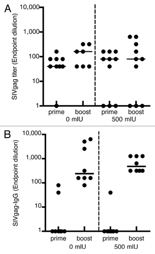 Figure 4. Induction of humoral immune responses against SIVgag. hCD46tg mice were given 0 or 500 mIU MV-nAb prior to i.m. or i.n. immunization with 1 × 105 pfu rMVSIVgag. Samples were collected at 4 weeks post prime i.m. (panel A) or i.n. (panel B) and 4 weeks post i.m. boost with 1 × 105 pfu rMV-SIVgag. The median values are shown as lines.