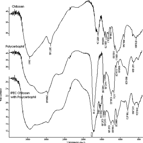 FIG. 1 Infrared spectra of chitosan, polycarbophil, and the IPEC prepared between these two polymers.