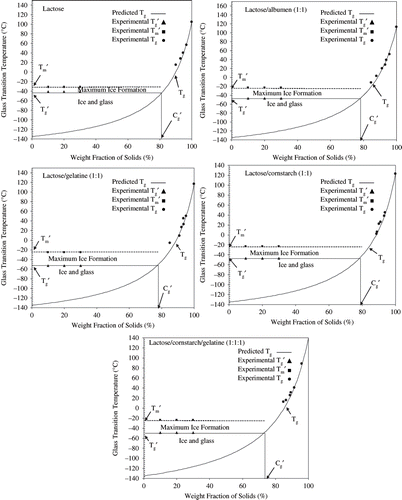 Figure 2 State diagrams for lactose, lactose/albumin (1:1), lactose/gelatin (1:1), lactose/cornstarch, and lactose/cornstarch/gelatin (1:1:1). Tg curve predicted by the Gordon and Taylor equation (Gordon and Taylor, 1952). Below Tg all solutions are in the glassy state. Maximally freeze concentrated solutions show constant Tg′ (onset of glass transition) and Tm′ (onset ice melting temperature) values. The Tm′ of solutions was at the endpoint region of Tg′. All solution show maximum concentration of unfrozen phase at Cg′.