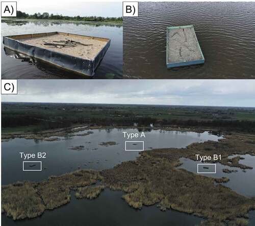 Figure 1. Nesting floating platforms, A (A), and B (B), and general view of all platforms location (C) in the Druzno Lake reserve (photos by authors).
