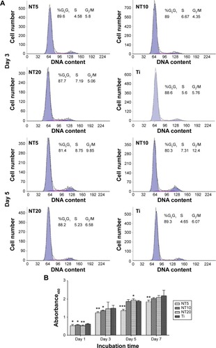 Figure 3 (A) Representative cell cycle distribution graphs of PDLSCs cultured on different samples for 3 and 5 days, which were determined by FCM. The percentages of cells residing in the G0/G1 phase, S phase, and G2/M phase are shown in the graphs. (B) Cell proliferation measured by the CCK-8 assay after culturing the PDLSCs on the different samples for 1, 3, 5, and 7 days.Notes:*P<0.05, **P<0.01, and ***P<0.001 compared with the Ti control.Abbreviations: FCM, flow cytometry; NT, nanotube; PDLSC, periodontal ligament stem cell; Ti, titanium.