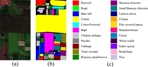 Figure 7. False-colour composition and the ground truth of the HO dataset.