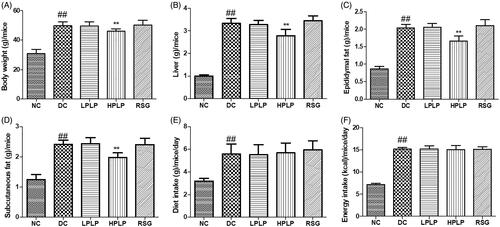 Figure 1. Effect of PLP for six weeks on: body weight (A), liver tissue (B), epididymal fat (C), subcutaneous fat (D), diet intake (E), and energy intake (F). Data are shown as the mean ± SD (n = 8). ##p < 0.01, DC group vs. NC group; **p < 0.01, drug-treated group vs. DC group.