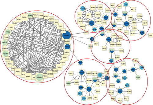 Figure 1. Network of Cluster 2 signature genes (dark blue) and their first neighbors in the BioplexOntocancro network (yellow). In the same picture, known mutated genes (light blue) and known drug targets (light green) are shown. The red circles highlight six possible gene modules inside the network, that could reflect possible synergistic effects for drug targeting or deeper-level biological relationships.