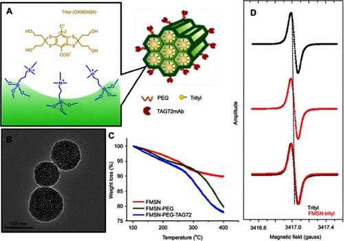 Figure 1 (A) Illustration of trityl-loaded FMSNs for electron paramagnetic resonance imaging. FMSN with targeting moiety, TAG72mAb, as a carrier for trityl radical for in vivo tumor oxygen measurement. (B) Transmission electron microscope (TEM) image of mesoporous silica nanoparticles. (C) Thermogravimetric analysis of FMSN, FMSN-PEG, and FMSN-PEG-TAG72. (D) EPR spectrum of trityl (black), FMSN-trityl (red), and overlay.