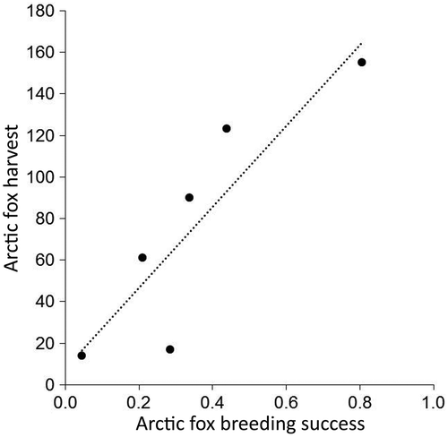 Figure 1. Relationship between Arctic fox harvest and reproductive success (proportion of dens that produced a litter). Harvest data provided by Manitoba Wildlife and Fisheries Branch.