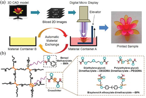 Figure 29. Projection micro-stereolithographic printing of a multi-material SMP: (a) Process of fabricating multi-material monolithic structure, (b) Photo-curable shape memory polymer network constructed using mono-functional monomer, Benzyl methacrylate (BMA) as linear chain builder (LCB), and multi-functional oligomers, Poly (ethylene glycol) dimethacrylate (PEGDMA), Bisphenol A ethoxylate dimethacrylate (BPA), and Di(ethylene glycol) dimethacrylate (DEGDMA) as crosslinkers. Figure adapted with permission from [Citation166].