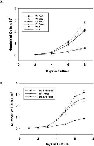 Figure 5 Cell proliferation rates for cell clones and cell pools expressing v-Src were not affected by maintenance of GJC and lack of Cx43 tyrosine phosphorylation. (A) growth curves for cell clones. Cells were plated at a density of 1 × 104 cells/60 mm plate, fed every second day, and then counted on days 2, 4, 6, and 8 following plating. Slopes of the exponential phase of the curves from day 4 to 8: Wt Src1, S = 0.481; Wt Src2, S = 0.626; Db Src2, S = 0.479; Db Src4, S = 0.467; Wt 1, S = 0.109; and Wt 2, S = 0.130. The data represent the average values obtained from single plates/cell type in three separate experiments (n = 3). (B) growth curves for cell pools. To measure the growth rates of the antibiotic-selected cell pools, cells were plated at 2.4 × 104 cells/60 mm dish and were counted each day for a week, with feeding on every second day. Slopes of the curves from day 2 to 6: Wt Src Pool, S = 0.685; Db Src Pool, S = 0.569; and Wt Pool, S = 0.164. The data represent the average values from duplicate plates for each cell pool in three different experiments (n = 6). Error bars represent the SEM.