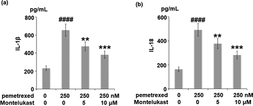 Figure 5. Montelukast suppressed pemetrexed-induced secretion of IL-1β and IL-18. (a). Secretions of IL-1β; (b). Secretions of IL-18 (####, P < 0.0001 vs. vehicle group; **, ***, P < 0.01, 0.001 vs. pemetrexed treatment group).