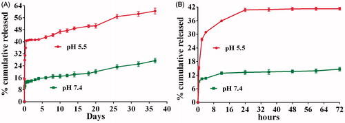 Figure 8. In vitro release profile of Dox from NPs in pH 7.4 PBS and pH 5.5 acetate buffers. (A) For 36 days and (B) for 72 h (n = 3).