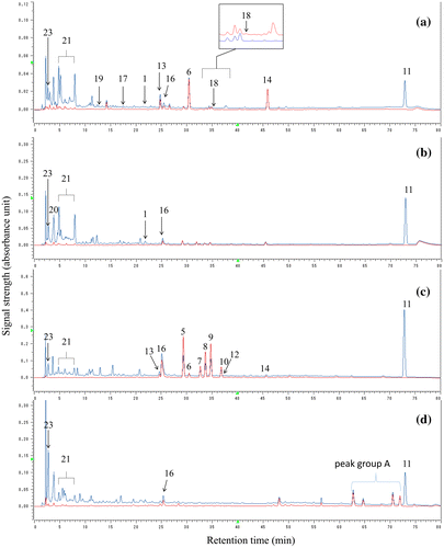 Figure 2. RP-HPLC profiles of the crude methanol extracts from (a) fruits, (b) buds, (c) leaves, and (d) branches of Feijoa sellowiana. Red and blue lines indicate profiles monitored at 280 and 320 nm, respectively.