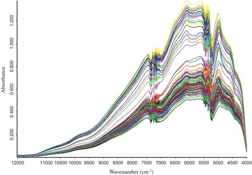 Figure 1. Near‑infrared spectra of Coptis samples.