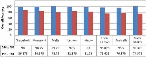 Figure 8. Comparison analysis of accuracy achieved by MLP in classifying eight citrus leaf images having ROIs 128 × 128 and 256 × 256