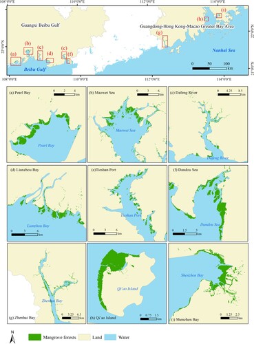 Figure 3. Distribution of mangrove forests in the Guangxi Beibu Gulf and Guangdong–Hong Kong–Macao Greater Bay Area in 2020.