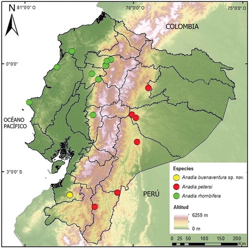 Figura 9. Mapa de distribución de especies del género Anadia en Ecuador. Las localidades están basadas en especímenes depositados en el QCAZ y DHMECN (Material Examinado), bibliografía (Oftedal, 1974) y material fotográfico referido en el manuscrito.