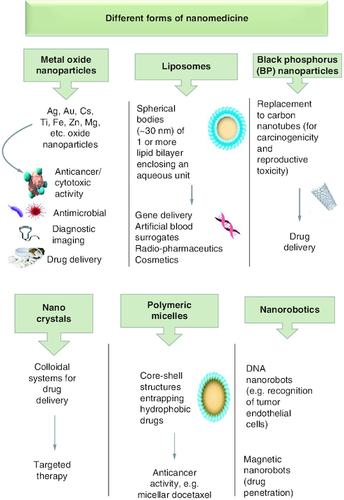 Figure 1. Different forms of nanomedicine and their biological applications.