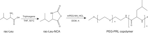 Scheme 1 Synthesis routes of PEG-PRL copolymers.Abbreviations: DCM, dichloromethane; NCA, N-carboxy-anhydrides; PEG, poly(ethylene glycol); PRL, poly(racemic-leucine); rac-Leu, racemic-leucine; THF, tetrahydrofuran.