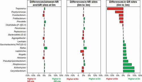 Figure 3. Differences in relative abundances of the 20 most abundant bacterial genera in subgingival plaque prior to and in response to non-surgical periodontal treatment in NR and matched GR sites. Subgingival plaque samples were taken immediately prior to treatment (0 m) and three months after treatment (3 m). There was little difference in relative abundance of any of the genera prior to treatment between the NR and matched GR sites. The x-axis depicts the relative change in abundance as a percentage of the total.