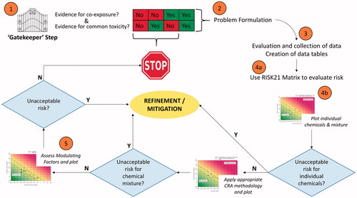 Figure 1. General conceptual framework of the proposed RISK21 approach to CRA.Step 1. Preliminary assessment of the need, or lack thereof, to conduct the risk assessment.Step 2. Problem formulation (PF) (see Solomon et al. Citation2016, this issue).Step 3. Detailed evaluation of the data on co-exposure and toxicity on the basis of the PF.Step 4a. Use of the RISK21 matrix, where individual values are plotted. It is intended that after Mitigation/Refinement (oval in the middle), this step is reiterated.Step 4b. Plot individual values or IC-normalized values. Refine/Mitigate and reiterate, if needed.Step 5. Apply appropriate CRA methodology and plot. Refine/Mitigate and reiterate, if needed.Step 6. Apply ModFs, either to individual compounds or to the IC-normalized values and conclude, either directly or after mitigation, on CRA. Note that, if judged that the margin of exposure is so high that consideration of ModFs will not significantly change the safety judgment, the calculation of the impact of such ModFs may not be performed and the plot needs not to be re-drawn, and an appropriate explanation given. All Refinements include, if needed, reiteration of “gatekeeping” and PF.