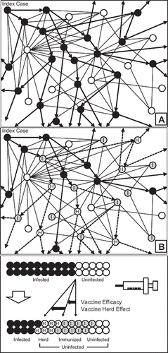 Figure 1. Schematic presentation of the herd effect: The index patient transmits an infectious agent to a given number (basic reproductive number R0) of susceptible persons in the community. Black circles are infected persons and white circles are uninfected susceptible persons (panel A). After a mass immunization programme in the community (panel B), a proportion of the population is immunized (grey circles with ‘I’), thus directly protected from the infectious agent (direct effect). The immunized individuals further protect the susceptible population (white circles with ‘H’) by stopping the transmission within the social networks. This extra protection effect provided by a vaccine is called ‘herd immunity’.