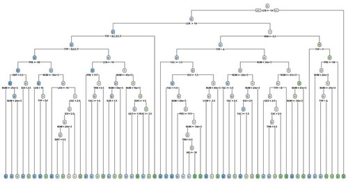 Figure 4. Classification tree.