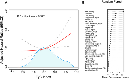 Figure 2 The association between TyG index and the development of hypertension. (A) represent a cubic spline model of the relationship between TyG index and the risk of new-onset hypertension after adjustment for smoke, drink, heart rate, marital status, gender, height, platelets, total cholesterol, LDL-C, HbA1c, hemoglobin. (B) represent the importance of TyG index in the development of hypertension by random forest machine learning model.