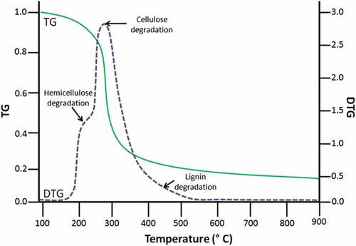 Figure 8. The general thermogravimetric decomposition process of biodegradable polymers and fillers from natural resources (Azwa et al. Citation2013; Di Franco et al. Citation2004; Lee and Wang Citation2006; Suardana, Ku, and Kyoo Lim Citation2011).