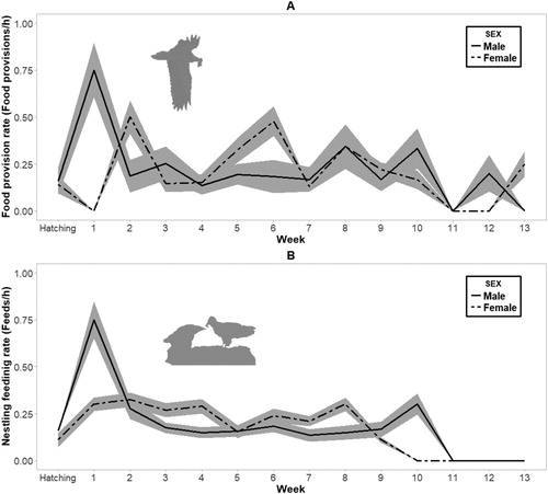 Figure 5. Mean food provisioning rate (A) and mean nestling feeding rate (B) per week in relation to hatching date (week 0). Shaded areas in both graphs represent ± se.