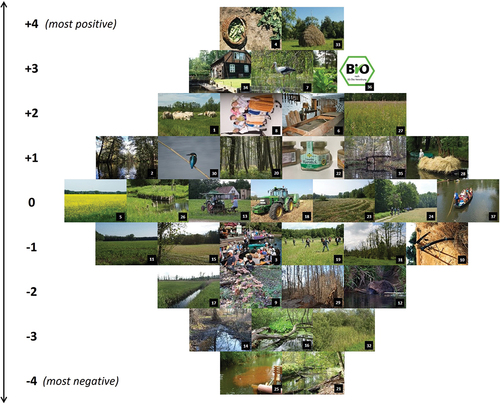 Figure 5. Model Q sort for the people narrative. The ranking of the photos is based on the weighted averages of the Q sorts associated with the narratives. Photo credit: © 2022. Photo collage created by Tamara Schaal-Lagodzinski; Michael Petschick (photos #1, #4, #15, #20, #23, #26, #28, #33); Tamara Schaal-Lagodzinski (photos #2, #35, #37); Tom Noah (photos #3, #12); Stefan Fussan (photo #5); Biosphere Reserve Spreewald (#6, #9, #13 #19, #21, #25, #32, #34, #36, #16); Frank Kuba (photos #7, #30); Spreewald-Touristinformation Lübbenau e.V. (photo #8); Andreas Traube (photo #10); Nico Heitepriem (#11, #14, #17, #27, #22 [photo was cropped], #24, #29, #31); Andreas Göbel (photo #18). All Rights Reserved. Reproduced with permission and under Data Licence CC BY-SA 3.0 (photo #5).