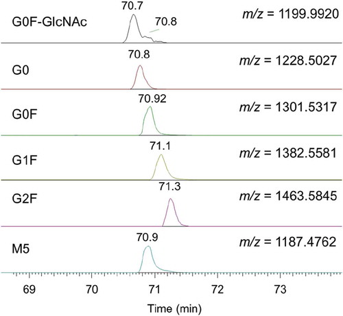 Figure 6. The extracted ion chromatograms of major glycopeptides in monoclonal antibody denosumab (gradient 2).