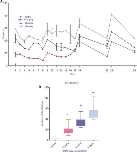 Figure 9 Graph showing iron content excreted through urine of animals injected with different IONPs doses. Daily iron concentration excreted in urine (ng/mL) during the study period (28 days) (A). Box plot depicts the mean iron concentration excreted through urine over 28 days (B). Data are presented as mean ± standard deviation (n=3). Error bars represent standard deviation. Statistical significance was determined using one-way analysis of variance (ANOVA) and multiple comparisons conducted using Tukey’s test. Significant inter-group differences (p<0.05) are marked by letters: a (vs control), b (vs 7.5 mg/kg IONPs), and c (vs 15 mg/kg IONPs).