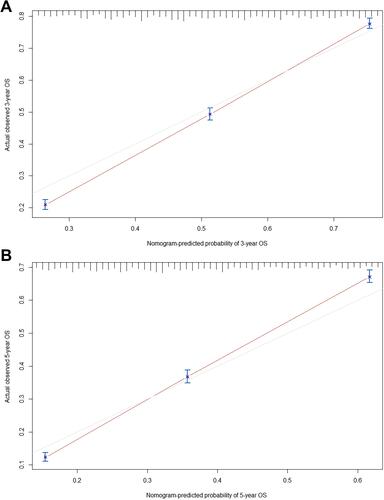 Figure 4 (A) Calibration curve of the nomogram for predicting the 3-year OS rates of elderly patients undergoing radical gastrectomy. (B) Calibration curve of the nomogram for predicting the 5-year OS rates of elderly patients undergoing radical gastrectomy.