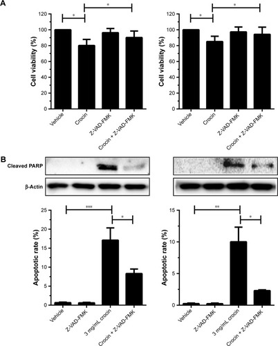 Figure 2 Blockage of apoptosis countered the crocin-induced growth inhibition for HepG2 and HCCLM3 cells.