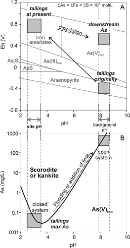 Fig. 9  (A) Eh-pH diagram with stability fields of As species, including scorodite and scorodite-like material, arsenopyrite, and dissolved species (Craw et al. Citation2003). The environmental conditions of the tailings originally and at present are indicated based on observations. (B) Solubility of scorodite after Krause & Ettel (Citation1988). Without external modification (‘closed system’) the pH of the mine residues remain acidic and iron arsenate solubility is low. If neutralisation of mine residues occurs from external sources (‘open system’) iron arsenate solubility increases by several orders of magnitude.