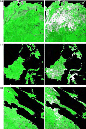 Figure 2. Three examples of the improved MODIS surface reflectance images using the TSCD algorithm (left) compared to the original MOD09A1 (right): (a) Amazon, (b) Java, Indonesia, (c) Bohai area of eastern Asia. All images were acquired on 28 July 2001.
