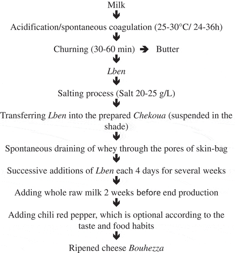 Figure 1. Flow diagram of traditional manufacture of Bouhezza goat’s raw milk cheese (re-arranged by the data from Aissaoui Zitoun et al. (2011) and Aissaoui Zitoun [2014]).