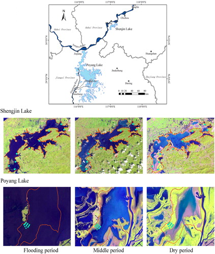 Figure 1. Sampling points and typical landscapes from flooding period to dry period at Poyang Lake and Shengjin Lake.