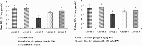 Figure 7. Effect of galangin on the activity of GPx in the liver and kidney of normal and STZ-induced diabetic rats. Values are given as means ± SD from six rats in each group. Group 1 is significantly not different from group 2 (a, a) (P < 0.05). Group 4 and 5 are significantly different from group 3 (b vs. c, a, c) (P < 0.05). U* = µmol of GSH utilized/minute.