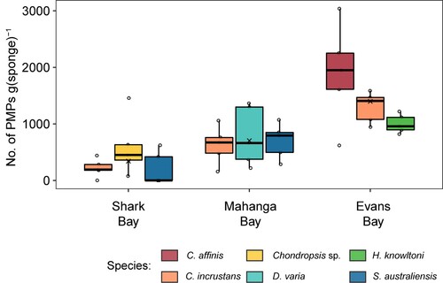 Figure 3. The total number of PMPs per gram of sponge tissue for six sponge species sampled across three sites (note that not all species were sampled at each site). The box size represents the upper and lower quartiles of the data. The middle line shows the median value and the symbol × shows the mean value. The whiskers indicate the variability of the data outside of the interquartile range. Individual data points are shown.