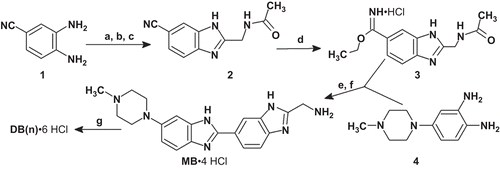 Scheme  1.  Synthesis of DB(1–5,7,11). Reagents and conditions: (a) iBuOCOCl, NMM, Boc-Gly-OH; (b) AcOH, 65–70°C, 1 h; (c) AcOH, 120°C, 4 h, 58% (for a–c); (d) HClgas/EtOH, 0–4°C, 1 h, 23°C, 3 days; (e) AcOH/EtOH, 95°C, 1 h, N2, 78% (for d–e); (f) HClconc, 105°C, 20 min, 89%; (g) for DB(1,2): DMF, DIPEA, BOP, HOOC-(CH2)n-COOH (n = 1,2), 0°C, 1 h, 23°C, 1 day, HCl/MeOH, DB(1), 22%, DB(2), 24%; for DB(3–5,7,11): DMF, Et3N, XOOC-(CH2)n-COOX (X = Np; Pfp; Su; n = 3,4,5,7,11), HCl/MeOH, DB(3), 73%, DB(4), 68%, DB(5), 51%, DB(7), 78%, DB(11), 61%. All DB(n) were purified by refluxing in methanol followed by cooling and filtration of the target precipitate. AcOH, acetic acid; Boc-Gly-OH, tert-butyloxycarbonyl-glycine; BOP, (benzotriazole-1-yloxy)tris(dimethylamino)phosphonium hexafluorophosphate; DIPEA, N,N-diisopropylethylamine; DMF, dimethylformamide; Et3N, triethylamine; EtOH, ethanol; iBuOCOCl, isobutyl chloroformate; MeOH, methanol; NMM, N-methylmorpholine; Np, p-nitrophenyl; Pfp, 2,3,4,5,6-pentafluorophenÑƒl; Su, N-oxysuccinimide.