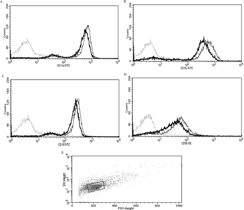 Figure 2.  Representative histograms from studies of effects of 24-h exposures to 5 µM TBBPA on NK cell-surface protein expression. (A) CD11a (control mean fluorescence intensity (MFI) = 643.32, TBBPA MFI = 512.52); (B) CD16 (control MFI = 580.52, TBBPA MFI = 390.5); (C) CD18 (control MFI = 259.63, TBBPA MFI = 210.54); and (D) CD56 (control MFI = 68.54, TBBPA MFI = 46.54). Dotted line: IgG control; thin solid line: control NK cells + appropriate antibody; bold line: TBBPA-exposed cells + appropriate antibody. Y-axis: cell number; X-axis: fluorescence intensity. (E) Dot-plot of cell preparation used in experiment. Shifts in fluorescence intensity were essentially the same whether gated (R1) or un-gated cell populations were used. NK, natural killer; TBBPA, tetrabromobisphenol A.