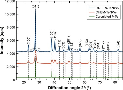 Figure 6 Comparison between the experimental XRD patterns for GREEN-TeNWs and CHEM-TeNWs and the calculated XRD patterns for bulk hexagonal Te (h-Te).Citation68 The diffraction peaks marked with (*) may be related to Te-based oxides.Abbreviations: CHEM-TeNWs, chemically synthesized TeNWs; GREEN-TeNWs, green-synthesized TeNWs; TeNWs, tellurium nanowires; XRD, X-ray powder diffraction.