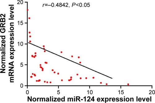 Figure 4 The expression of GRB2 is correlated with miR-124 in the samples collected from COPD patients with or without pulmonary artery hypertension.