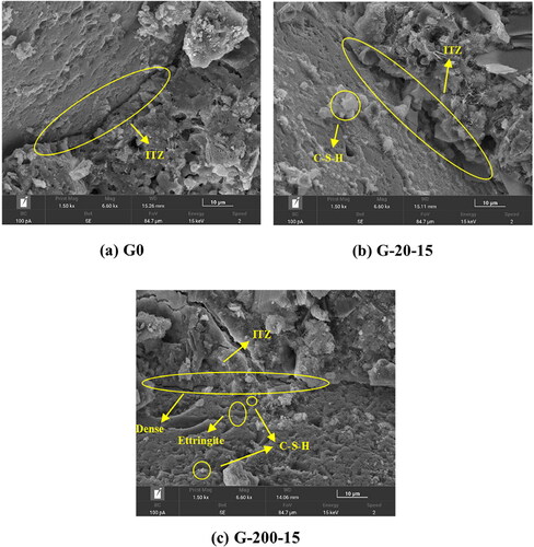 Figure 14. SEM images of interface transition zone (ITZ) in the mortar specimens G0, G-20-15 and G-200-15 after 28 d hydration.
