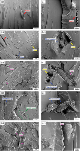 Figure 5. Morphologies of the impact fracture surfaces of: (a) BFs0/EP, (a1) partial magnified image of (a); (b) BFs5/EP composites, (b1) partial magnified image of (b); (c) BFs10/EP composites, (c1) partial magnified image of (c); (d) BFs15/EP composites, (d1) partial magnified image of (d); (e) BFs20/EP composites, (e1) partial magnified image of (e).