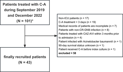 Figure 1 Flowchart of patient selection. *Only the first episode of C-A therapies was included. The same cases have been rectified in 101 patients.