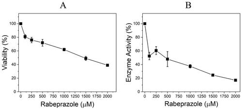 Figure 1. Percentage of viability of T. cruzi epimastigotes and cellular TIM activity. 1 × 106 epimastigotes were incubated for 4 h at 28 °C with increasing concentrations of Rbz. Viability was subsequently determined using MTT (A), and the cellular activity of the glycolytic enzyme TIM, was also measured (B). Results represent the average of four independent biological experiments.