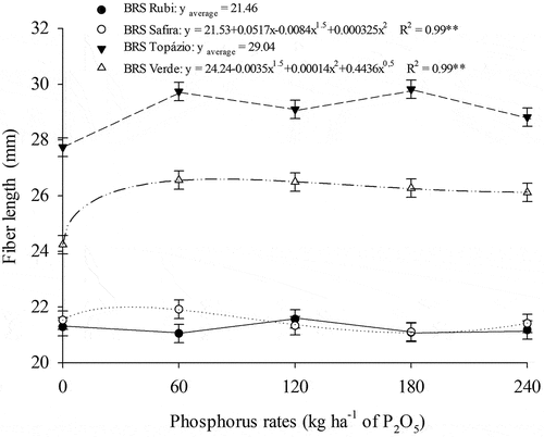 Figure 4. Cotton fiber length as a function of P rates in naturally colored cotton cultivars.