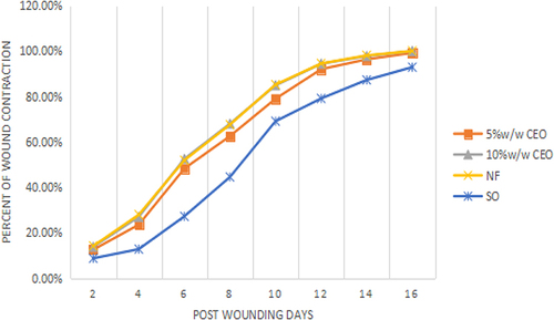 Figure 4 Percent wound contraction induced by crude extract on excision wound.